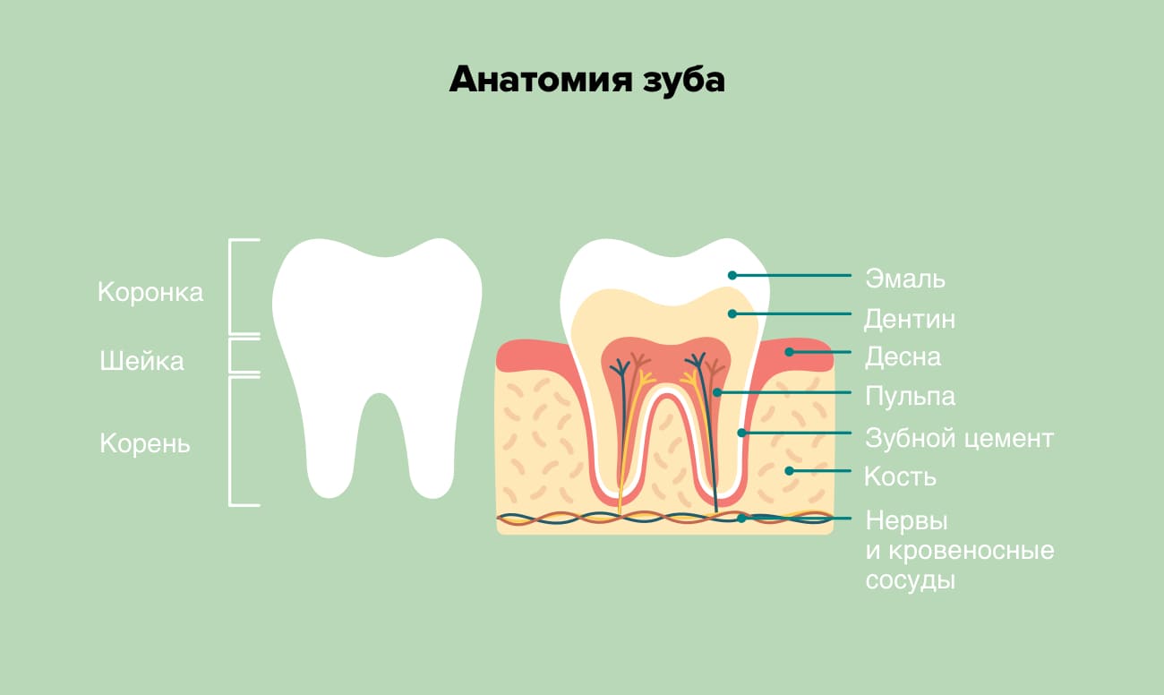 Особенности удаления сломанного зуба